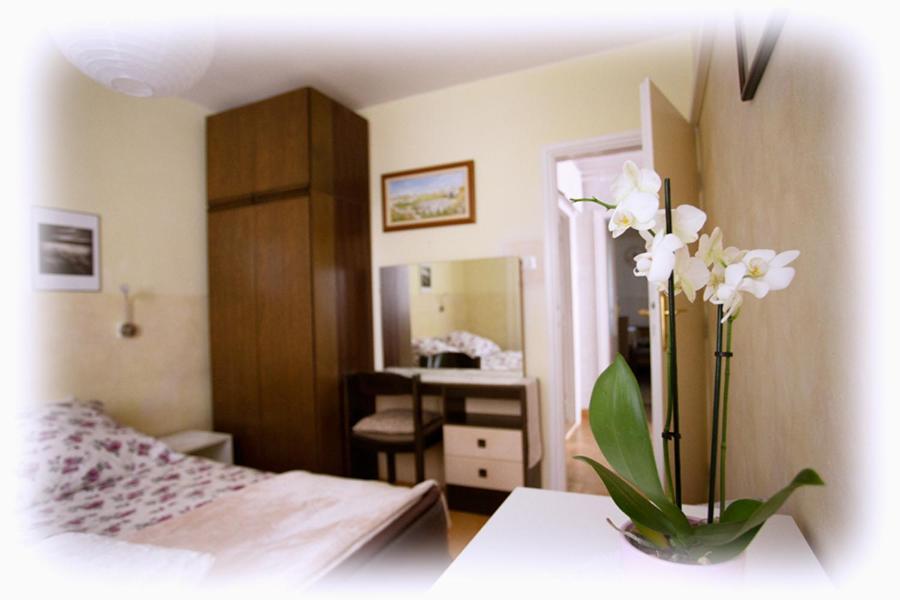 Apartment Josipa Poreč Eksteriør bilde